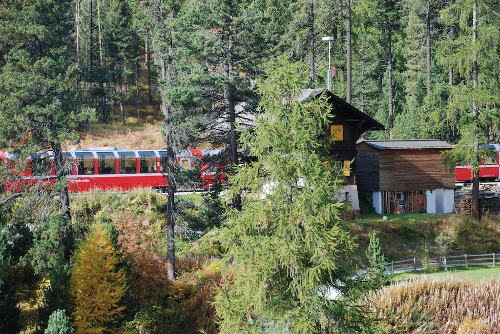 Chesa La Furia Lägenhet Pontresina Rum bild