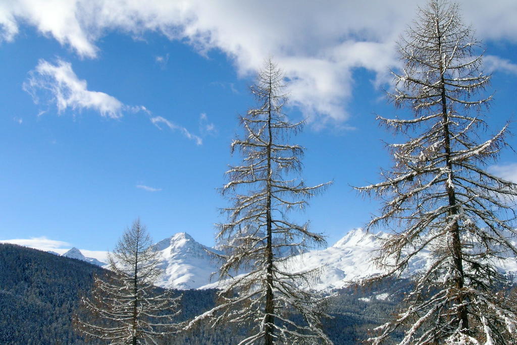 Chesa La Furia Lägenhet Pontresina Exteriör bild