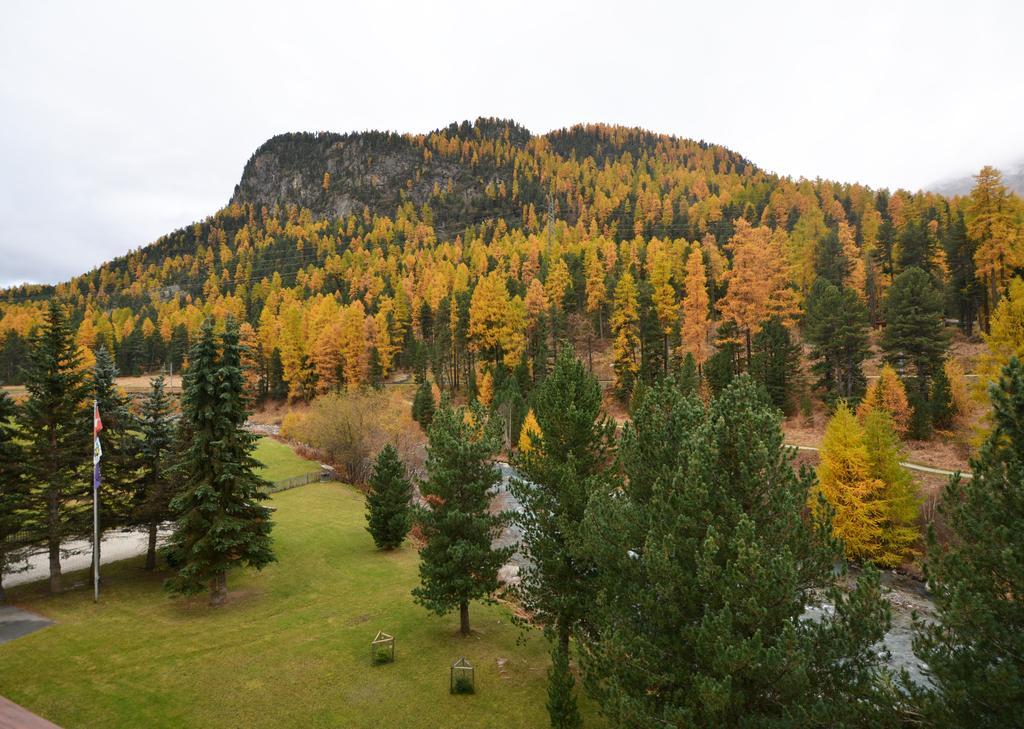 Chesa La Furia Lägenhet Pontresina Exteriör bild
